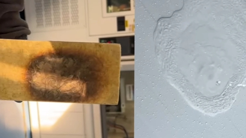 ¡La mejor opción para la construcción industrial!