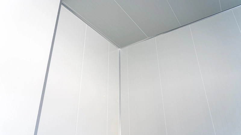 cold chain and logistics 1