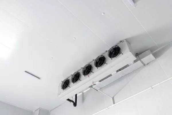 ¿Por qué elegir paneles de cámara fría para sus necesidades de almacenamiento de alimentos?